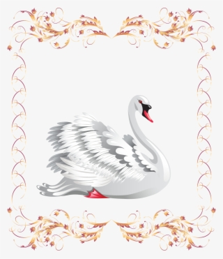 Banner Black Photography Clip Art Beautiful - Decoracion Con Cisnes #8903939