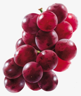 Cacho De Uva Png - Grape Red Fruit Png #8904413