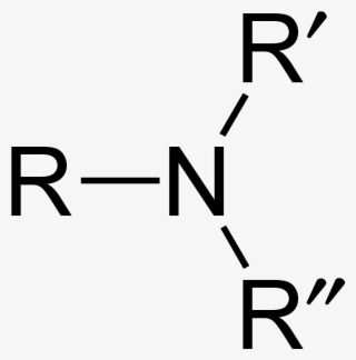 Amino Group Tertiary 2d Flat - Tertiary Amino Group #8904998