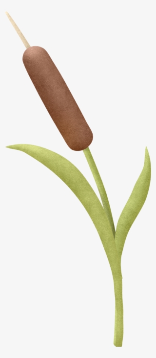 Фото, Автор Ladylony На Яндекс - Bulrush #8905578