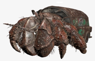 Savage Hermit Crab - Fallout 76 Hermit Crab #8905808