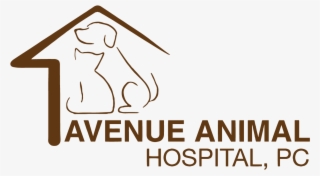 Avenue Animal Hospital, P - Bangkok Hospital #8906370
