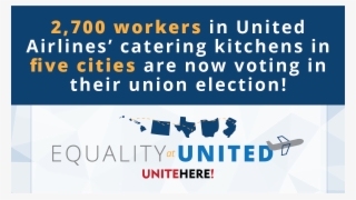 United Airlines Twitter - Graphic Design #8906515