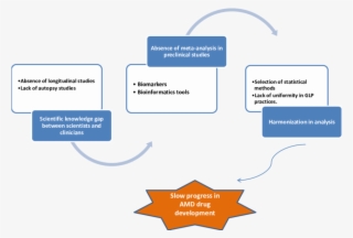 Schematic Representation Of Roadblocks In Amd Translation - Colorfulness #8907261