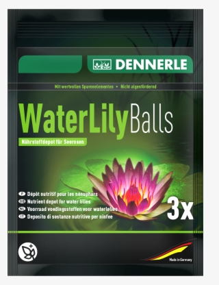 Dennerle #8907471