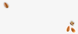 Lindsay & Almond Butter A Perfect Marriage - Sunflower Seed #8909162