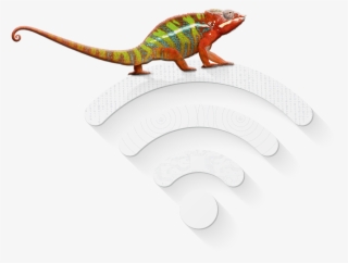 Chameleon-1 - Common Chameleon #8909187