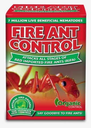 Note - Carpenter Ant #8910813