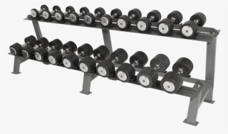 Prev - Dumbbell #8911912