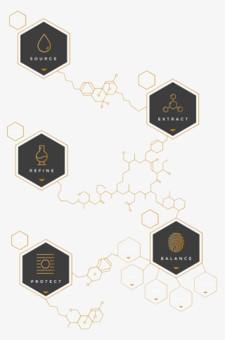 Goldmoon Home Infographic - Harmonic Table #8913578