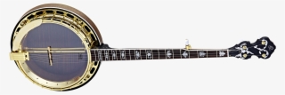 Obj850-ma - Banjo #8914300 Obj850-ma - Banjo #8914300