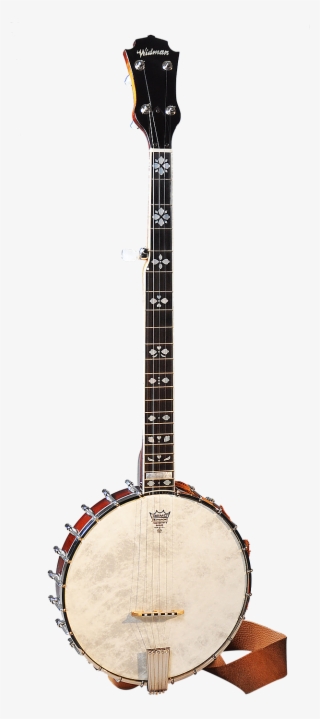 Electric Banjo - Cümbüş #8914335