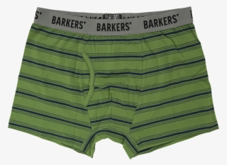 Get The Harris Stripe Trunk In Green Online - Underpants #8914554