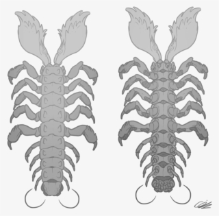 Desert Centipede Top And - American Lobster #8915355