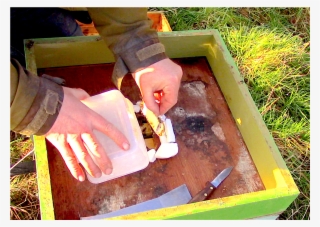 #beehiveyourself #wantagehoney - Beekeeping #8915360