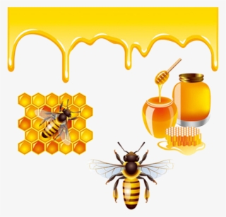 Honey Bee Png Transparent Honey Bee Png Image Free Download Pngkey - honeybee roblox bee swarm bee png image transparent png free download on seekpng