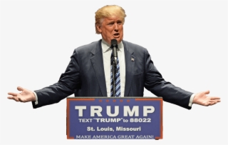 Donald Trump #8916128