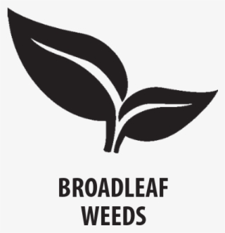 Tzone™ Se Broadleaf Herbicide For Tough Weeds - Graphic Design #8916958