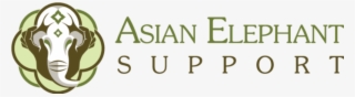 Asian Png #8917148