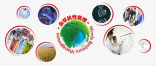 Established In 2009, Kingagroot Is A Weeding Science #8917178