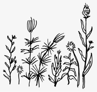 Stone Soup For Five January 2019 Odds And Ends Yard #8917307