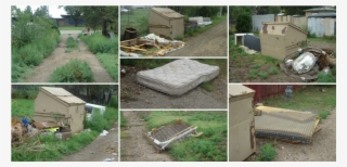 Name That Weed There Are Plenty Of Them Around Amarillo - Yard #8917530