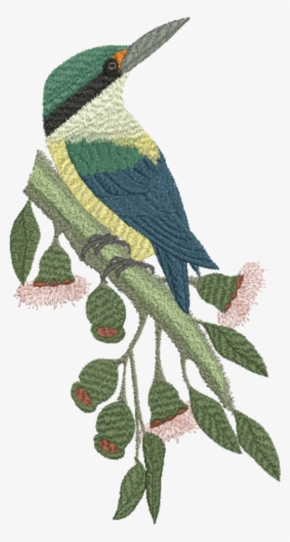 Sacred Kingfisher - Png #8918561