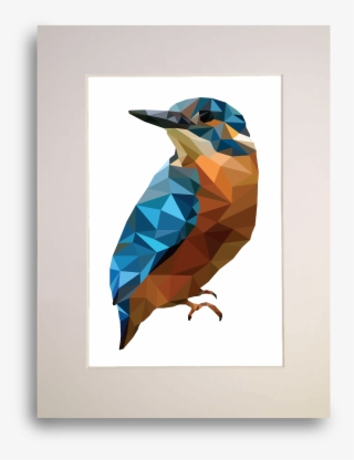 Image Of Kingfisher - Red-footed Booby #8918661