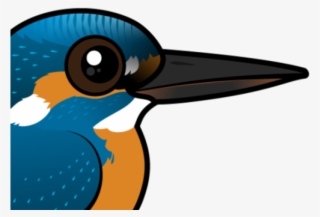 Kingfisher Clipart Transparent - Duck #8919267