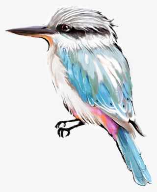 New Birds Crop Png #8919411 New Birds Crop Png #8919411