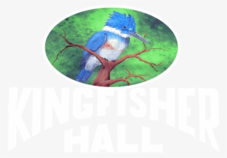 Kingfisher Hall - Hummingbird #8919615 Kingfisher Hall - Hummingbird #8919615