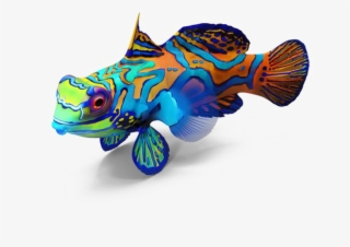 Fish Png Image Transparent Background - Animal Figure #8920713