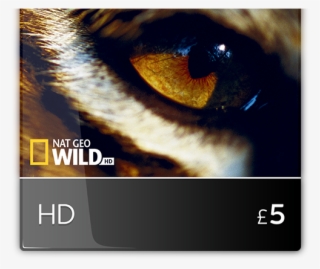 This Website Uses Cookies - Bengal Tiger #8920754