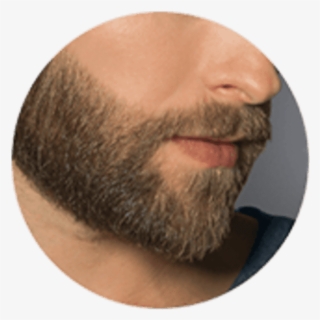 Beard Styling - Short Beard Contour #8922420