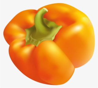 Yellow Pepper - Bell Pepper #8922485