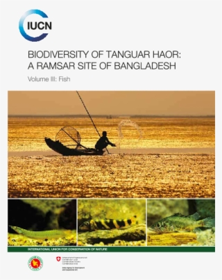 Pdf - Sea Kayak #8922794