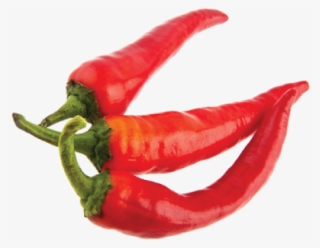 Peppers Chilli - Bird's Eye Chili #8923200