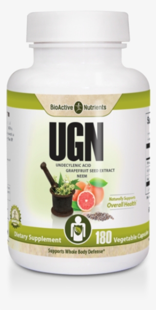 Bioactive Nutrients #8923636