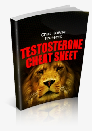 King Of The Jungle #8924401