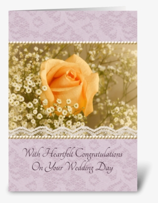 Peach Rose Wedding Congratulations - Wedding #8924689