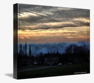 Hertfordshire By Jilly S B - Tree #8925016