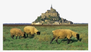 Mont Saint Michel #8925481
