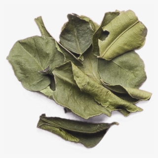 Kaffir Lime Leaves #8926601