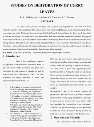 Pdf - Proposal For A Black Southern Cultural Conference #8926735