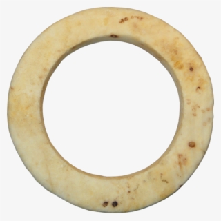 Western Solomon Islands, Bakia Clam Shell Ring With - Body Jewelry #8927020