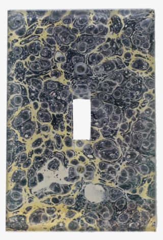 Motif #8927367