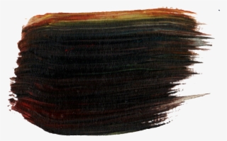 Free Download - Baltic Clam #8927464