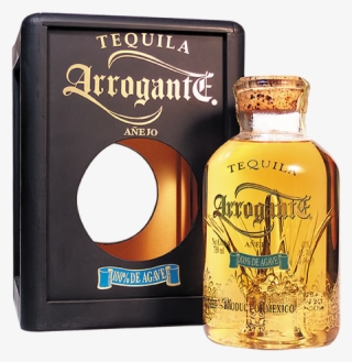 Agave Plant - Tequila Arrogante #8927560