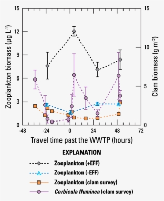 Zooplankton And Clam Biomass Data Collected For The - Diagram #8927563