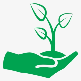 The Organic Revolution Has Taken Over The World, And #8927755